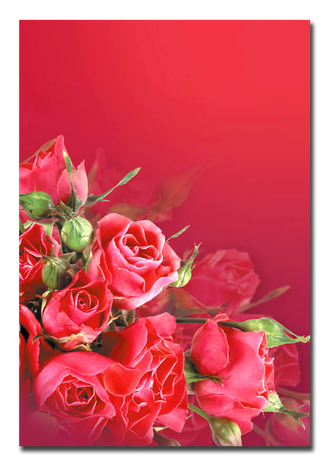 Адресная папка «Красные розы» (А4+, под тиснение, ламинированная)
