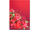 Адресная папка «Красные розы» (А4+, под тиснение, ламинированная)